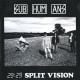 Subhumans – 29:29 Split Vision